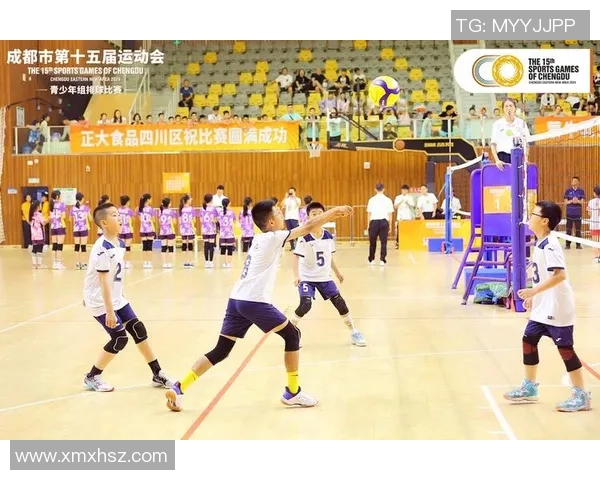 聚焦排球:探讨成都排球队在意识形态与团队文化中的重要性与影响